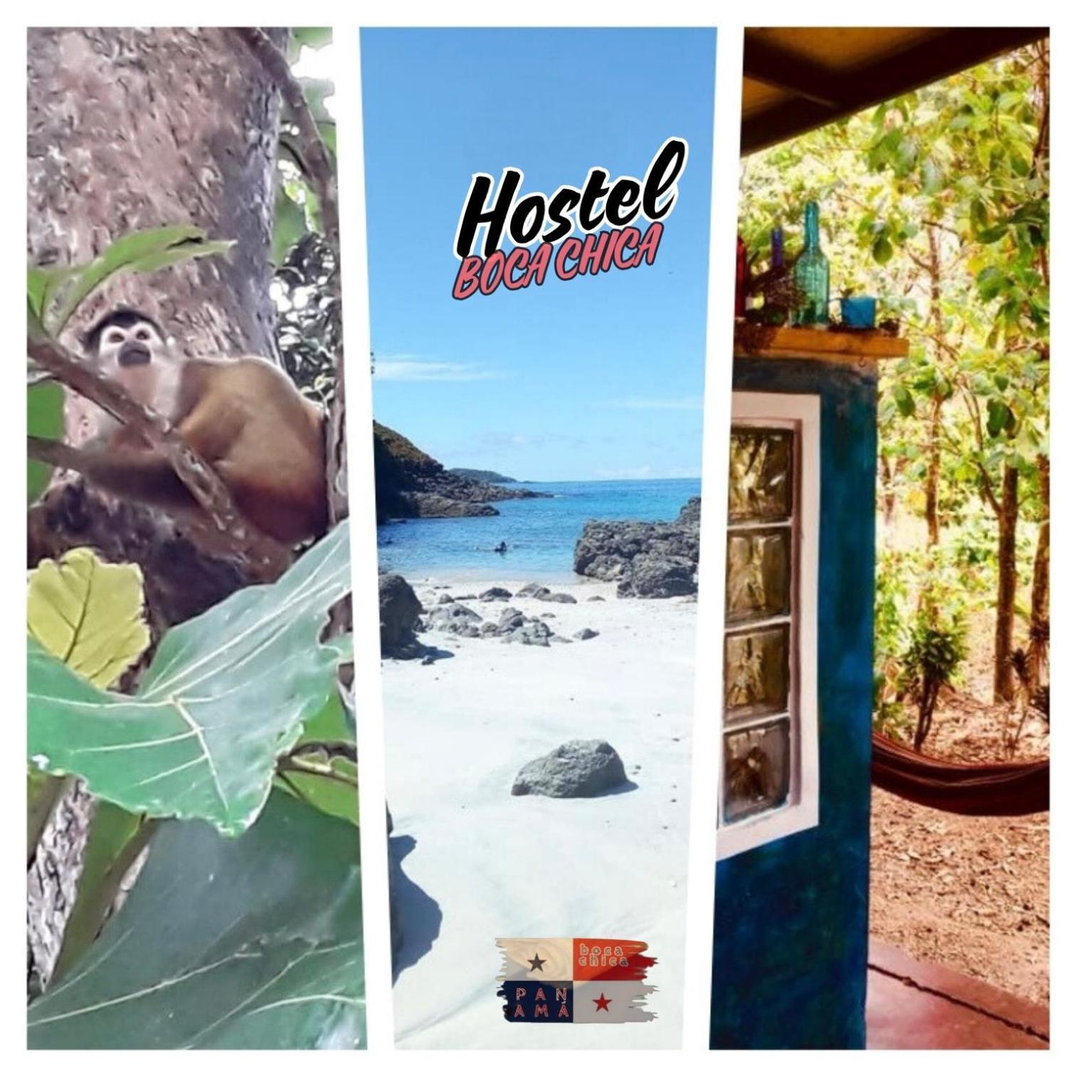 Hostel Boca Chica Zewnętrze zdjęcie